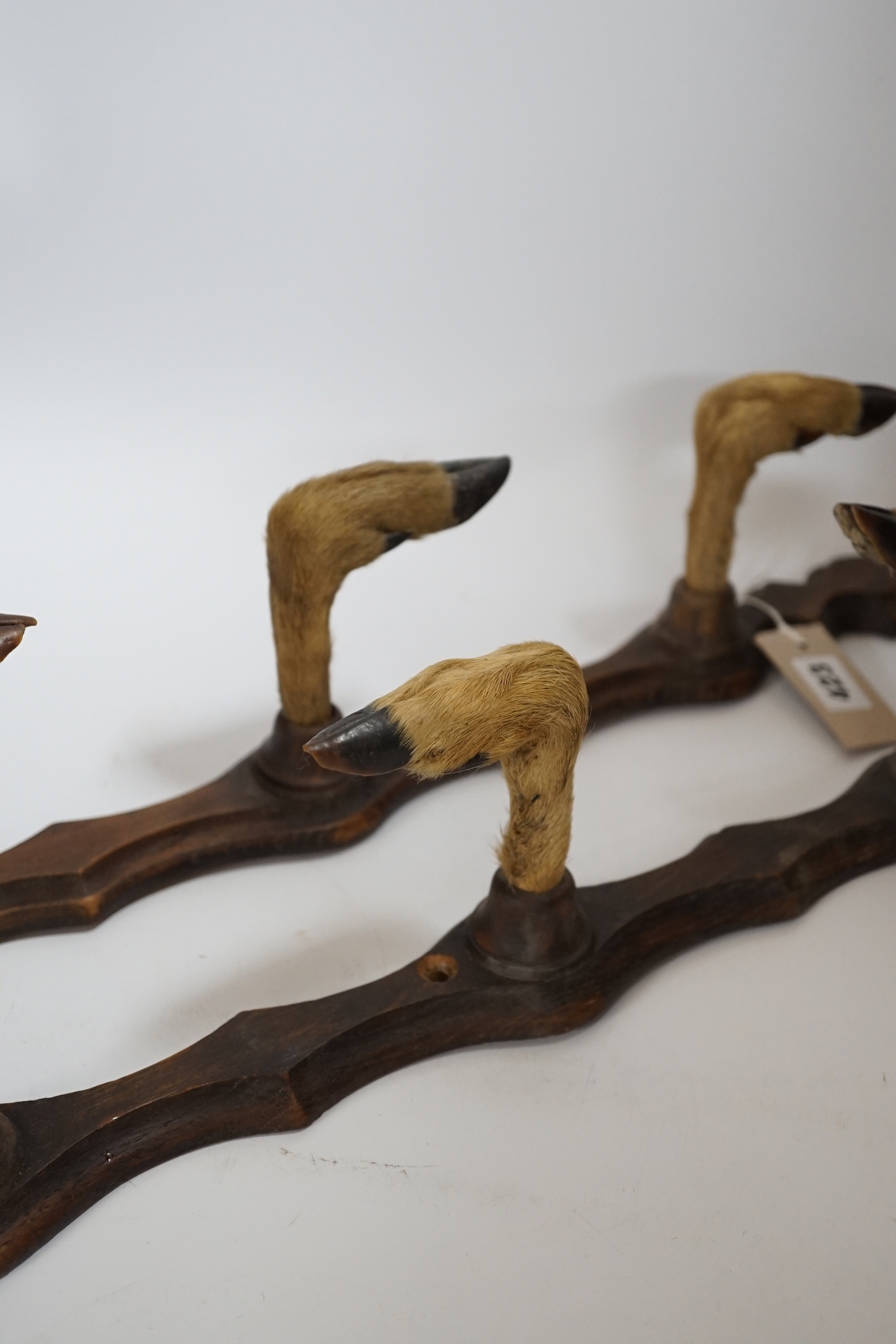 A pair of taxidermy deer hoof gun racks, 63cm long